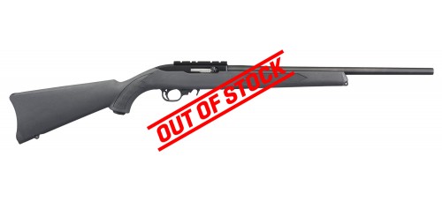 Ruger 10/22 Carbine .22LR 18.5" Barrel Semi Auto Rimfire Rifle Charcoal