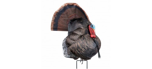 Primos Photoform Strutter Turkey Decoy