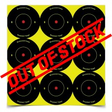 Birchwood Casey Shoot-N-C 2" Round Reactive Self Adhesive Targets