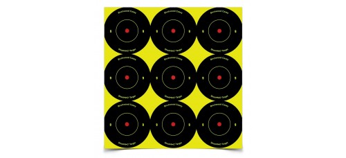 Birchwood Casey Shoot-N-C 2" Round Reactive Self Adhesive Targets
