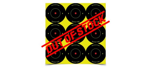 Birchwood Casey Shoot-N-C 2" Round Reactive Self Adhesive Targets